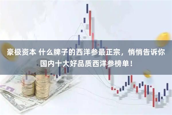 豪极资本 什么牌子的西洋参最正宗，悄悄告诉你国内十大好品质西洋参榜单！