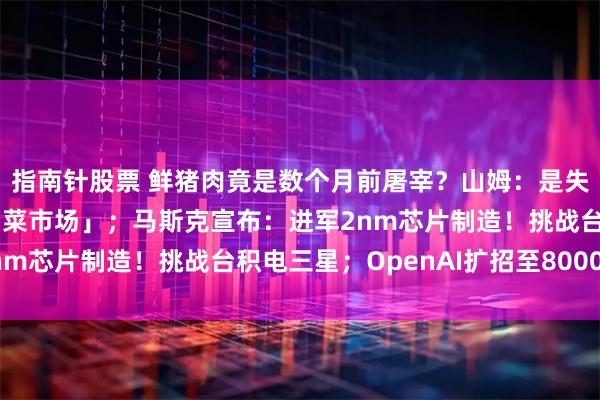 指南针股票 鲜猪肉竟是数个月前屠宰？山姆：是失误！网友称品质「不如菜市场」；马斯克宣布：进军2nm芯片制造！挑战台积电三星；OpenAI扩招至8000人