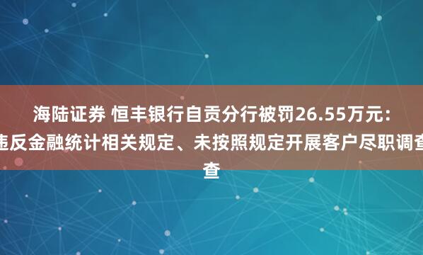 海陆证券 恒丰银行自贡分行被罚26.55万元：违反金融统计相关规定、未按照规定开展客户尽职调查